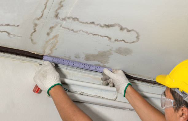 Affordable Water Damage Repair solutions in Monponsett, MA